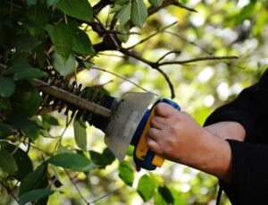 How Thick Can a Hedge Trimmer Cut Through?