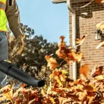 can-a-leaf-blower-blow-wet-leaves