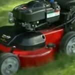 can-lawn-mower-gas-go-in-cars